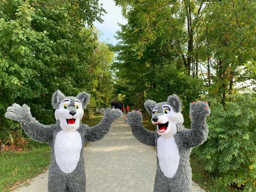 Picture of two fox mascots