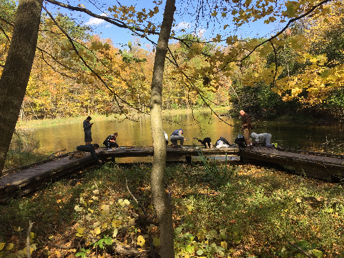 Picture of students looking at a creek