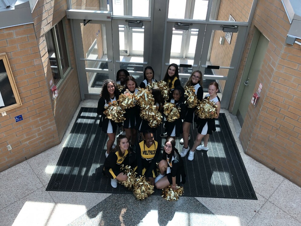 Picture of the cheer team